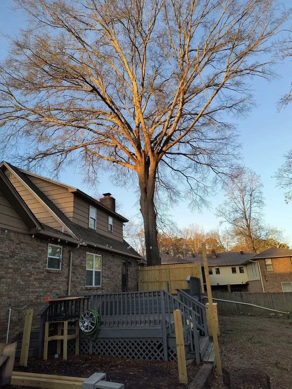 Large tree looming over a backyard deck in Arkadelphia, AR before removal