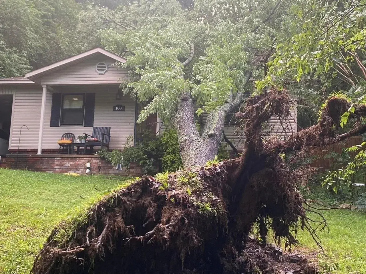 Storm-damaged uprooted oak removal in Arkadelphia, AR