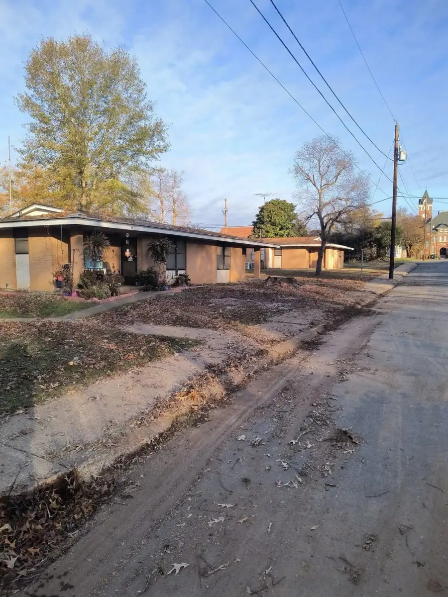 Residential tree removal and neighborhood cleanup in Arkadelphia, AR