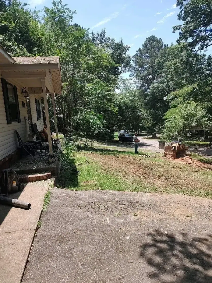 Tree removal crew finishing residential yard cleanup in Malvern, AR